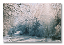 Ann Arbor 2007 ice storm  2