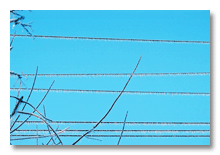 Ann Arbor 2007 ice storm  4