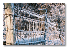 Ann Arbor 2007 ice storm  6