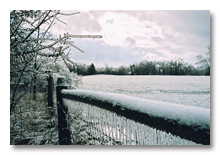 Ann Arbor 2007 ice storm  7