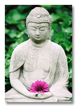 Buddah with magenta flower