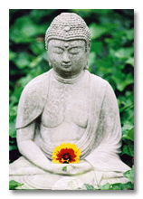 Buddah with yellow flower
