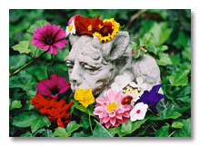 More backyard gargoyle flower power