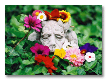 Backyard gargoyle flower power