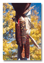 Indian corn on Pink's porch 1995?, Ann Arbor, MI