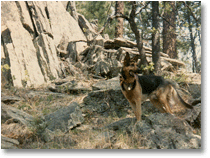 LD in the hills above Mt. Rushmore, South Dakota