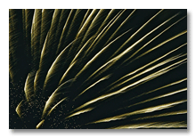 July 4th fireworks, Manchester, MI 2005