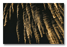 July 4th fireworks, Manchester, MI 2005