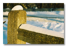 Snow-topped fence in Delhi Park in Ann Arbor, 2005