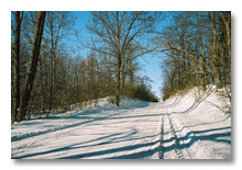 Maple Road in winter, Ann Arbor 2004-05