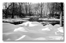 After the snow: Delhi Park in Ann Arbor, 2005