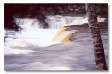 Swirling water at Tahquamanon Falls in Michigan's upper peninsula, 2001