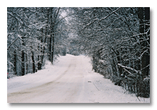 Maple Road in winter 2005-06, Ann Arbor, MI